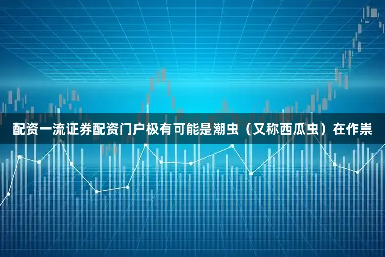 配资一流证券配资门户极有可能是潮虫（又称西瓜虫）在作祟