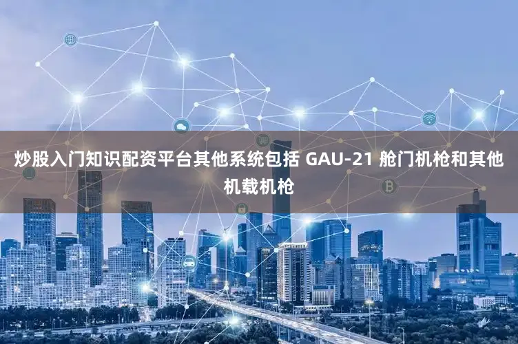 炒股入门知识配资平台其他系统包括 GAU-21 舱门机枪和其他机载机枪