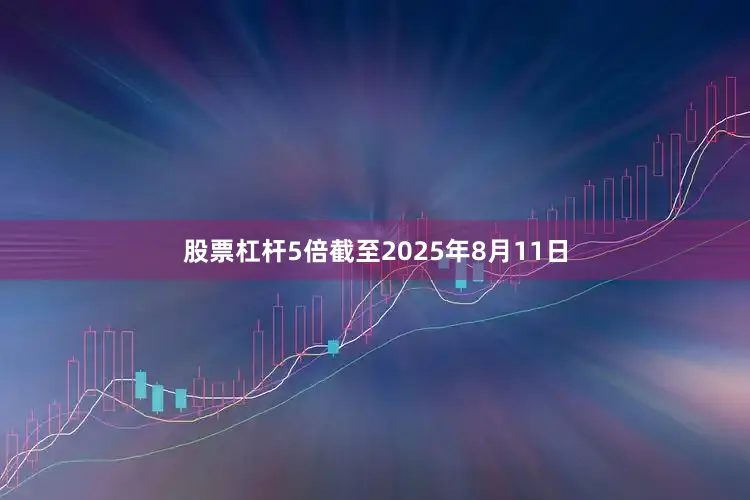 股票杠杆5倍截至2025年8月11日